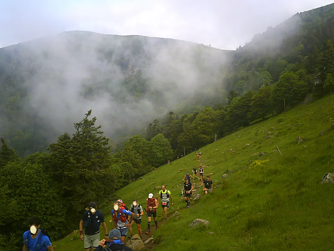 Coureurs d'un trail en file sur un sentier qui monte à travers un pâturage de montagne, sous des sommets boisés pris dans la brume