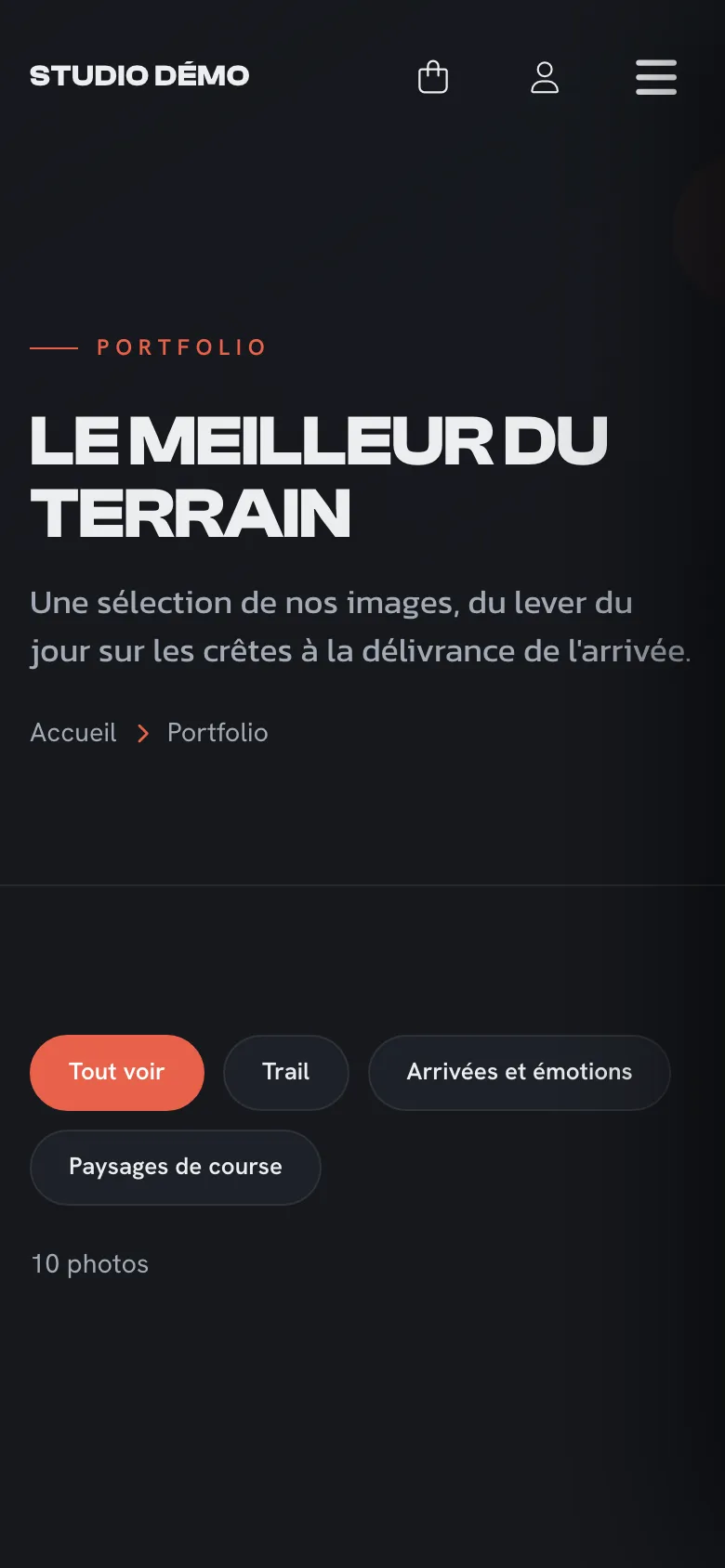 Page Portfolio de la boutique de démonstration sur téléphone, avec ses filtres par catégorie
